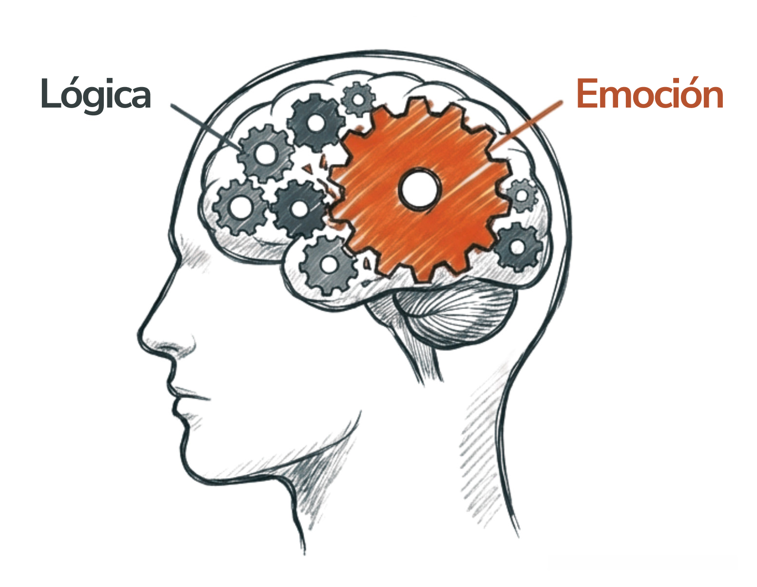 Finanzas conductuales: el enemigo interior
