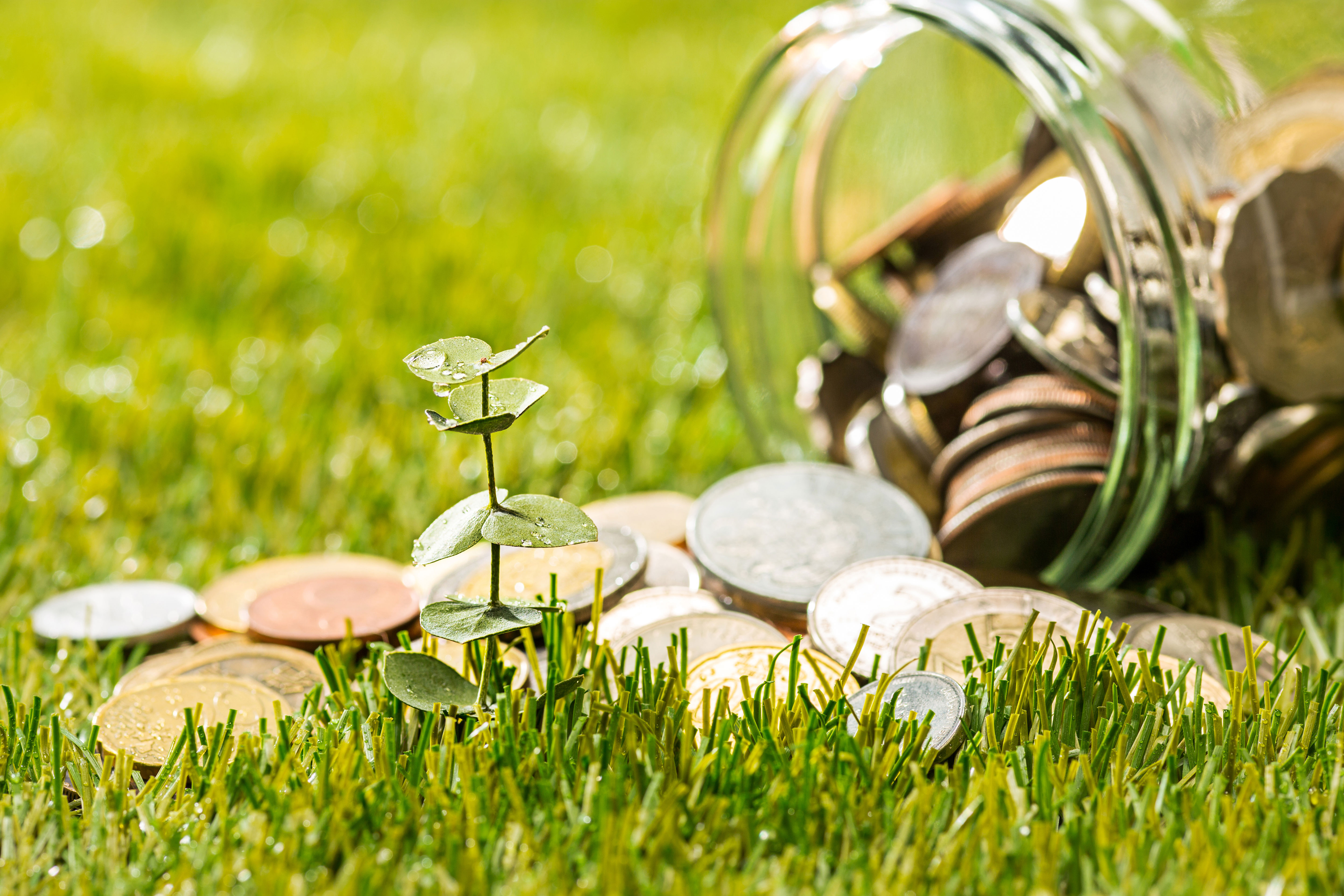 Ahorro y fondos de inversión