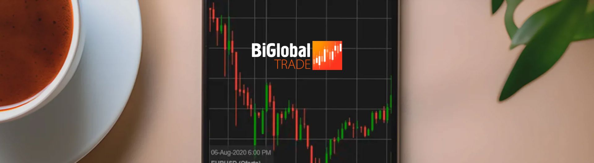 BiGlobal Trade (1)