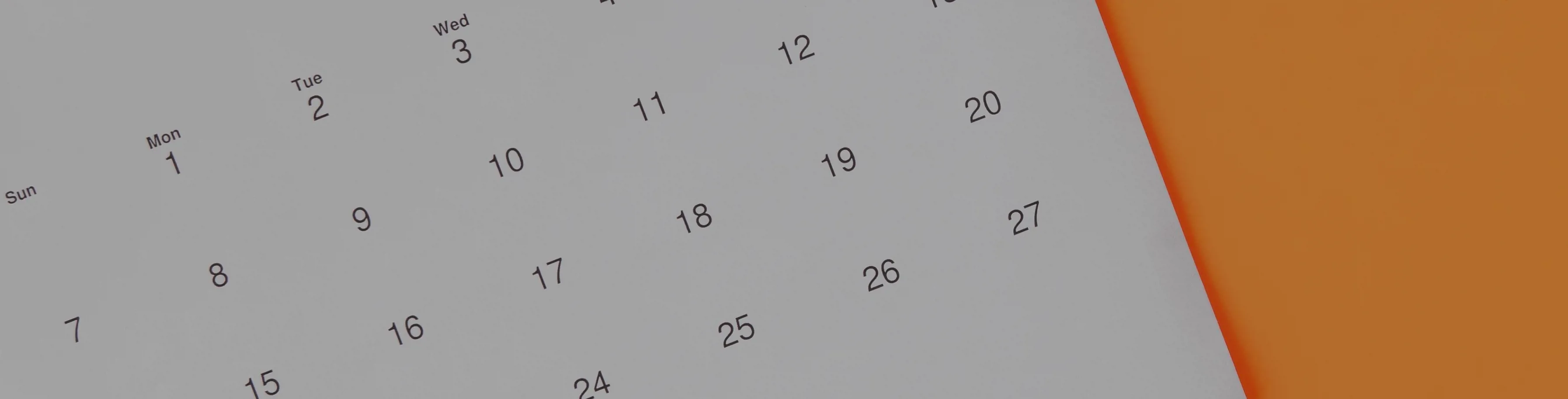 Calendario Lapiz Hoja Monstera